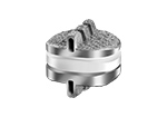Secure C cervical disk
